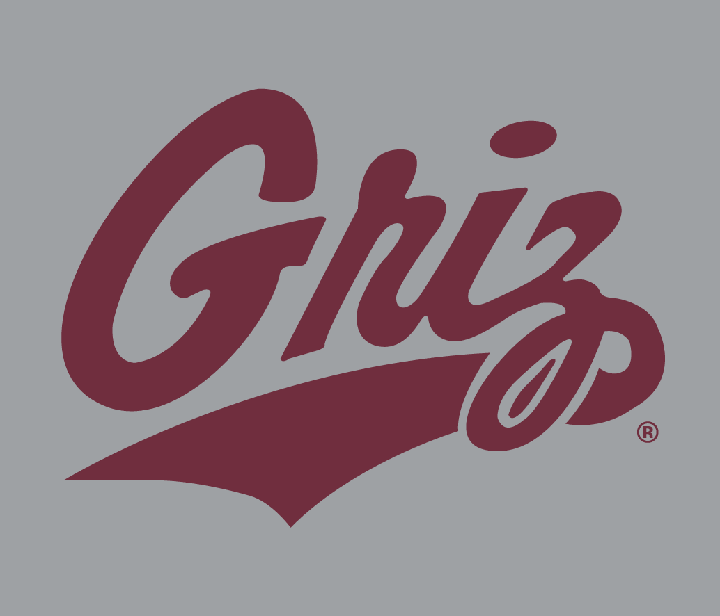 Montana Grizzlies 1996-Pres Alternate Logo 05 iron on paper